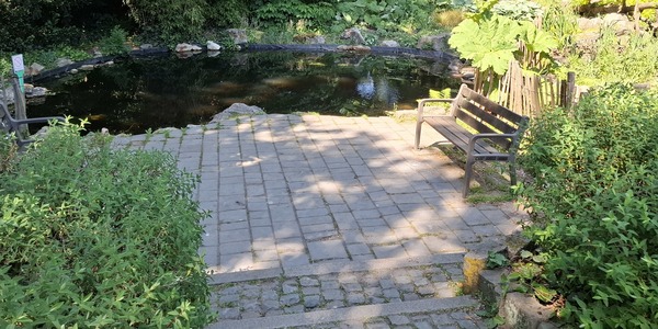 vijvertje park Den Brandt